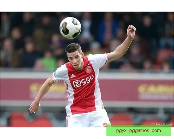 南特尔力克格拉夫莱尼斯精彩对决终场比分定格101比79