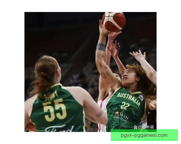 兰德斯女篮大胜查内勃艮第南部女篮二十二分显实力